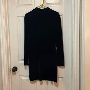 Black velvet dress.  Soft and sleek.  Beautiful dress to show off jewelry.